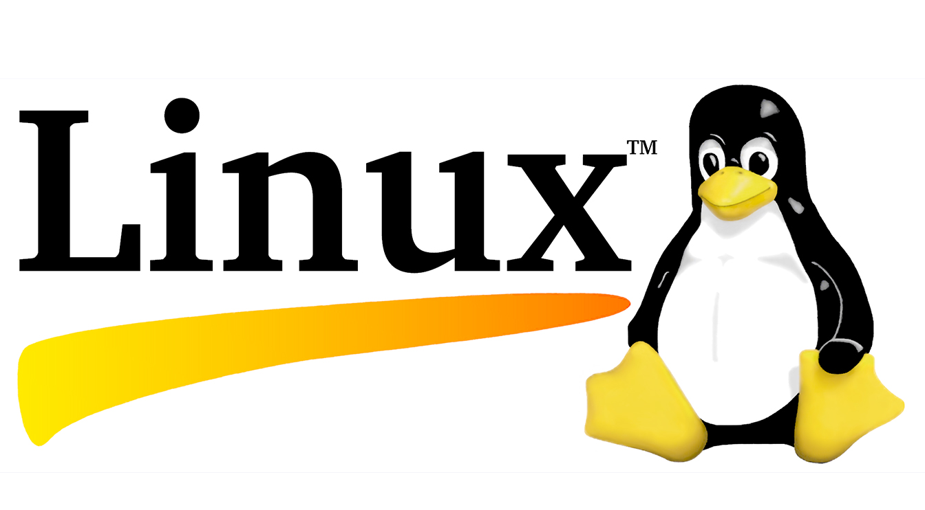Everything You Need To Know About WC Linux