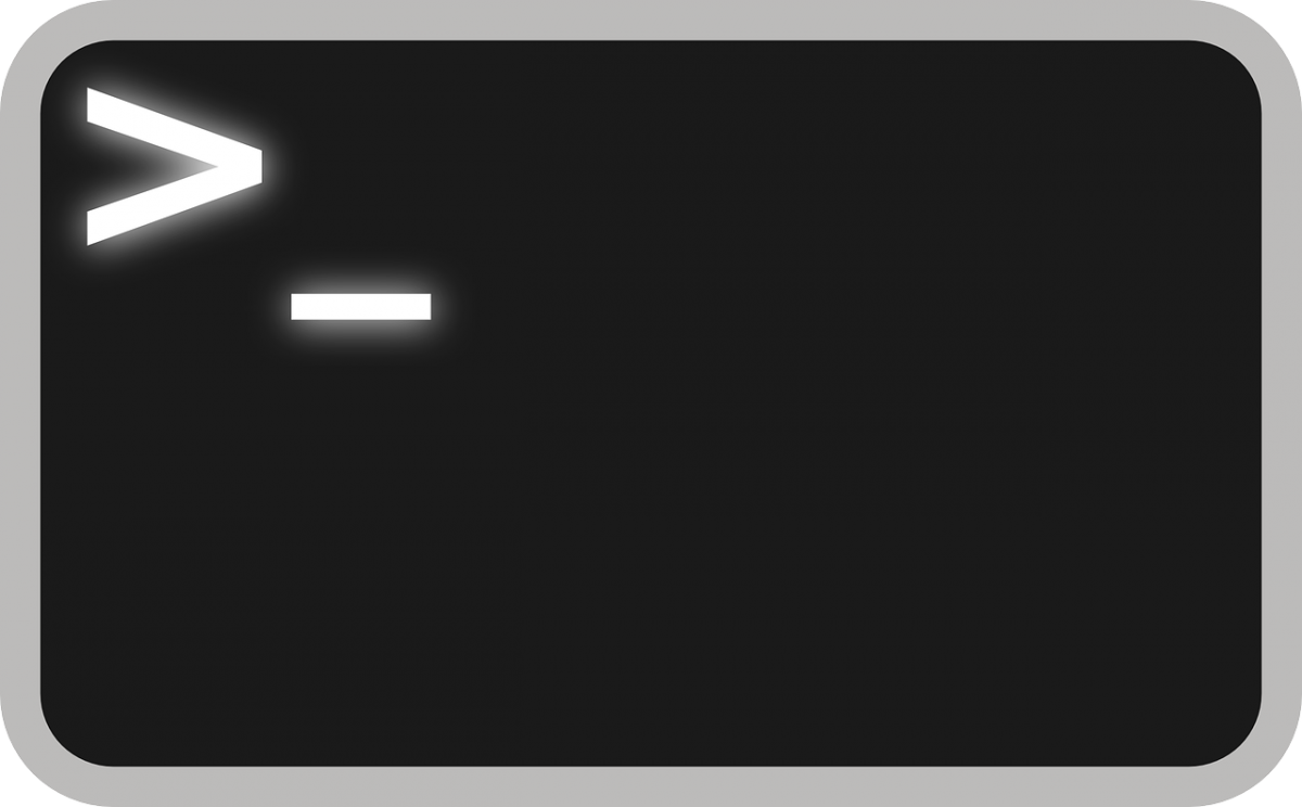 Tutorial About Echo Linux Everything You Need To Know